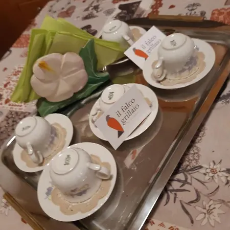 Il Falco Grillaio