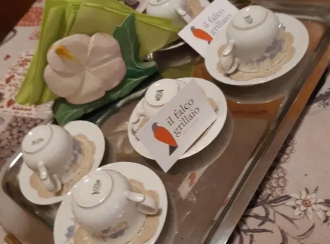 Il Falco Grillaio